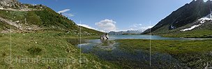 P016406: Panoramafoto Chummensee (Binntal)