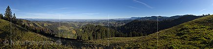 P016881: Panorama photo Lucerne outback