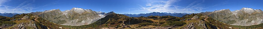 P016887a: Panoramafoto Aletschregion oberhalb Riederalp
