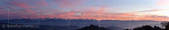 P016938: Panoramafoto Abendrot über den Berner Alpen