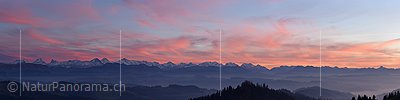 P016938a: Panoramafoto Abendrot über den Berner Alpen