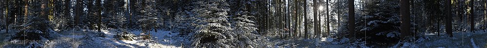 P017484: 360° Panoramabild Winterwald