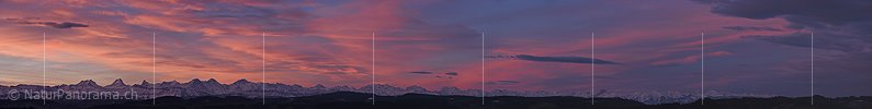 P017545: Panoramafoto Morgenstimmung/Föhnstimmung über den Berner Alpen