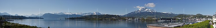 P017591: Panoramafoto Luzerner Seebecken und Zentralalpen von Luzern