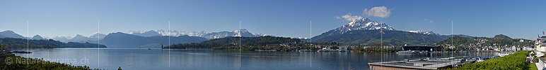 P017591a: Panoramafoto Luzerner Seebecken und Zentralalpen von Luzern