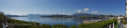 P017595: Panoramabild  Zentralalpen von Luzern