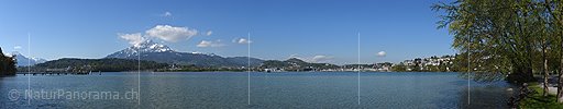 P017603a: Panoramafoto Pilatus und Luzerner Seebecken