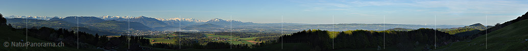 P017691: Alpenpanorama vom Albis (Zürich)
