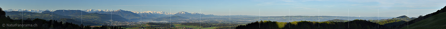 P017691a: Panoramafoto Zentralalpen, Zentralschweiz und Mittelland vom Albis