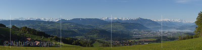 P017695a: Panoramafoto Zentralalpen und Zugersee vom Albis