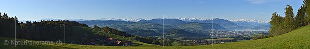 P017695e: Panoramafoto Zentralalpen und Zugersee vom Albis