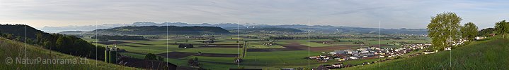 P017801c: Panoramafoto Wauwilermoos und Alpen