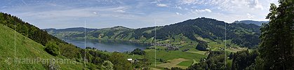 P017855: Panoramafoto Ägerisee und Morgartenberg