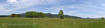 P017864: PAnoramafoto Moor landscape near Rothenthurm