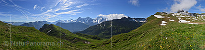 P018044a: Panoramafoto Grüne Berglandschaft in der Jungfrauregion