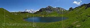 P018072: Panoramafoto Jungfrauregion