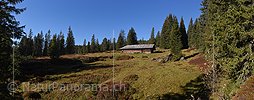 P018822: Grosses Panoramafoto Alphütte im lichten Bergwald