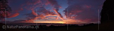 P019018: Panoramafoto Kunstvoll geformte glühende Wolken am Abendhimmel