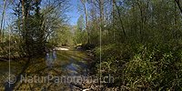 P019552: Panoramafoto Wasserlauf in Auenlandschaft