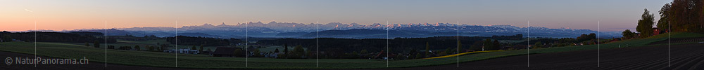 P019633: Panoramafoto Alpenpanorama von Meikirch/Bern
