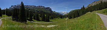 P020011: Panoramafoto Grünes, teilweise bewaldetes Bergtal in den Alpen