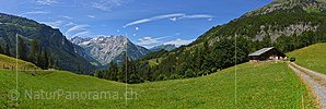 P020014: Panoramafoto Berglandschaft mit Alphütte im Haslital