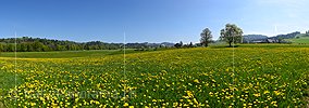 P021171: Grosses Panoramafoto Frühlingslandschaft im Emmental