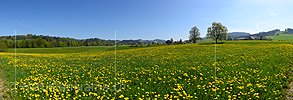 P021171a: Grosses Panoramafoto Bunte Frühlingslandschaft im Emmental