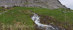 P021453: Panorama photo mountain stream on green mountain meadow