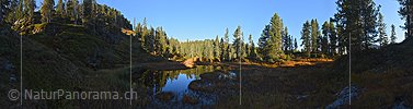 P022512: Gigapixel-Panoramafoto Kleiner Moorsee in Waldlandschaft