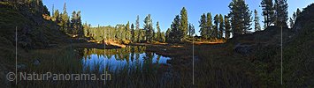 P022516: Panoramafoto Waldsee / Moorsee