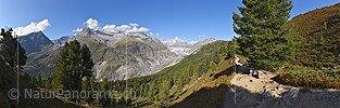 P023776: Gigapixel-Panoramafoto Aletschwald und Grosser Aletschgletscher