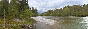 P026189: Panoramic photo Spring by the river