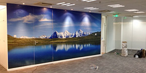 NaturPanorama.ch: Panoramawand in Büro